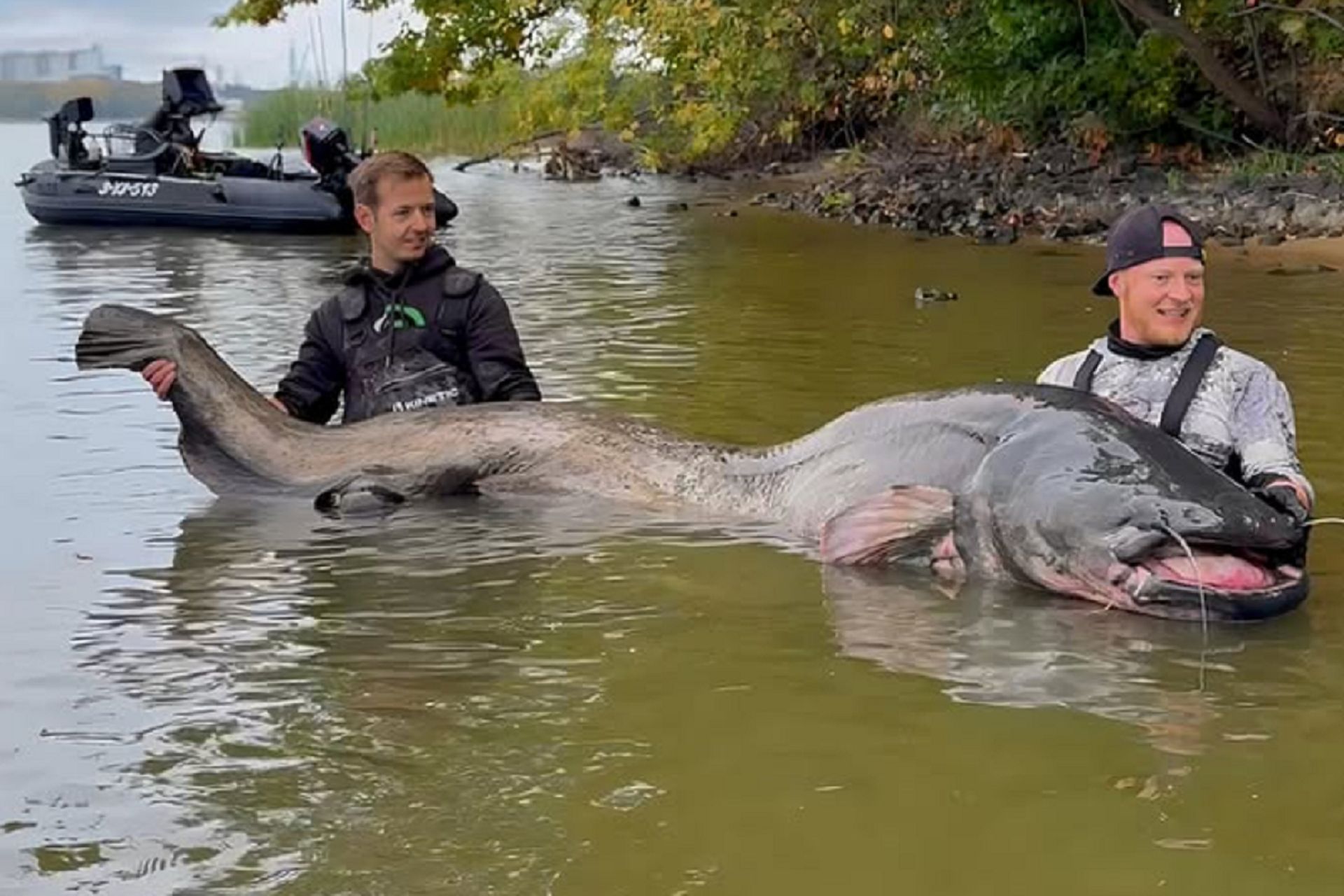 292 cm. Niemiec przyjechał na zawody do Polski. Złowił gigantycznego suma