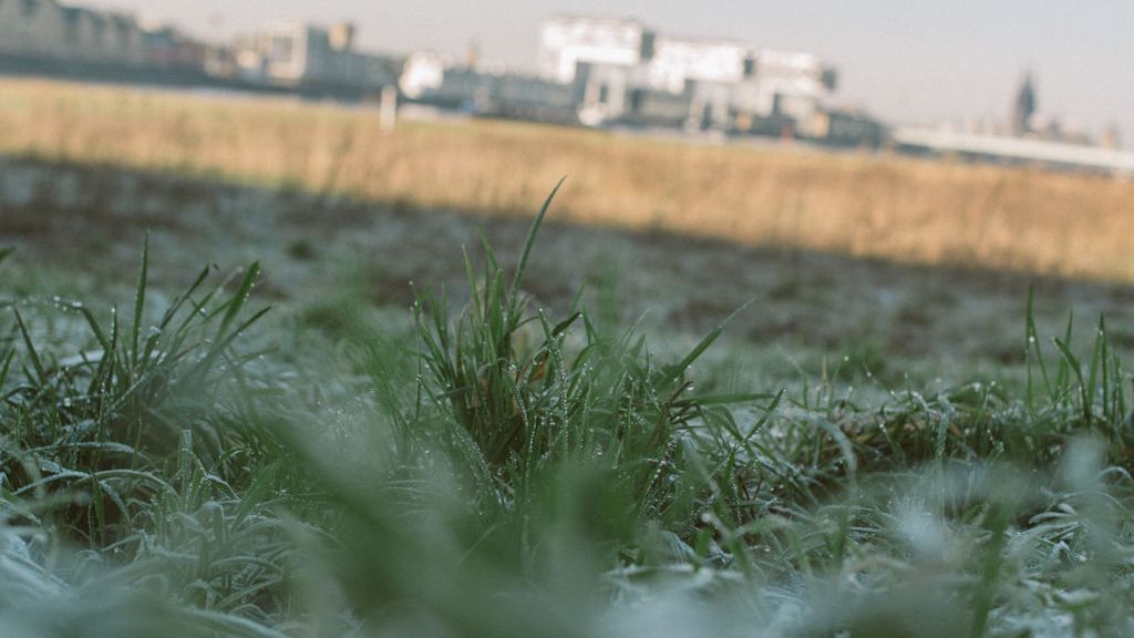 Przymrozki w Polsce. Ostrzeżenie IMGW dla 12 województw