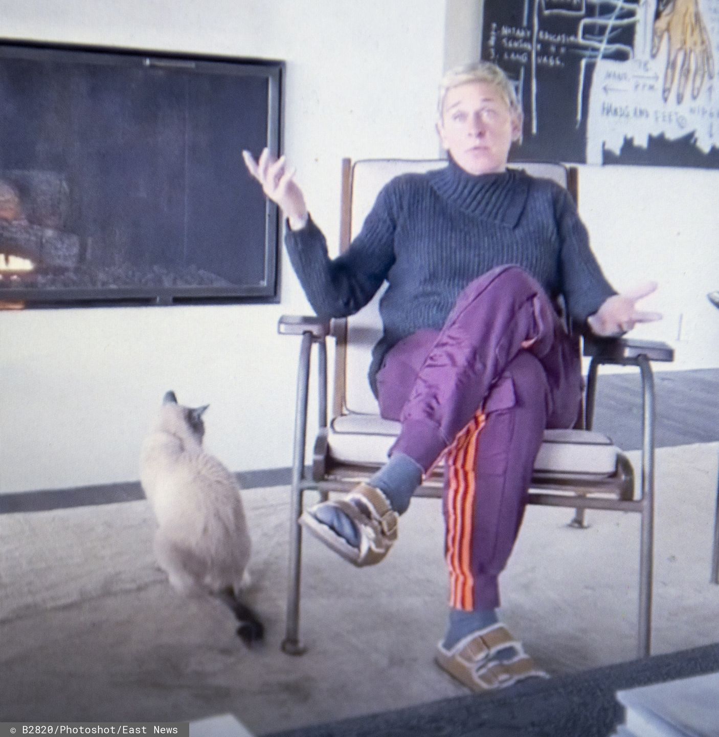 DeGeneres