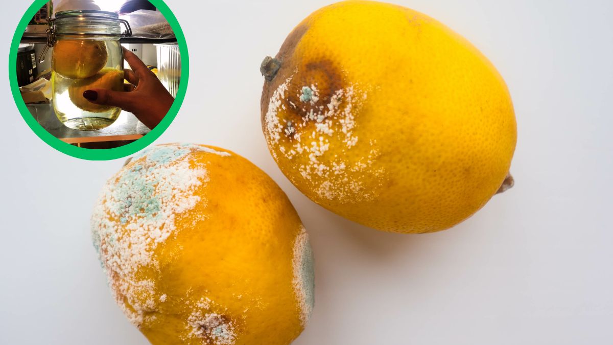 Co zrobić, aby cytryna szybko się nie zepsuła?