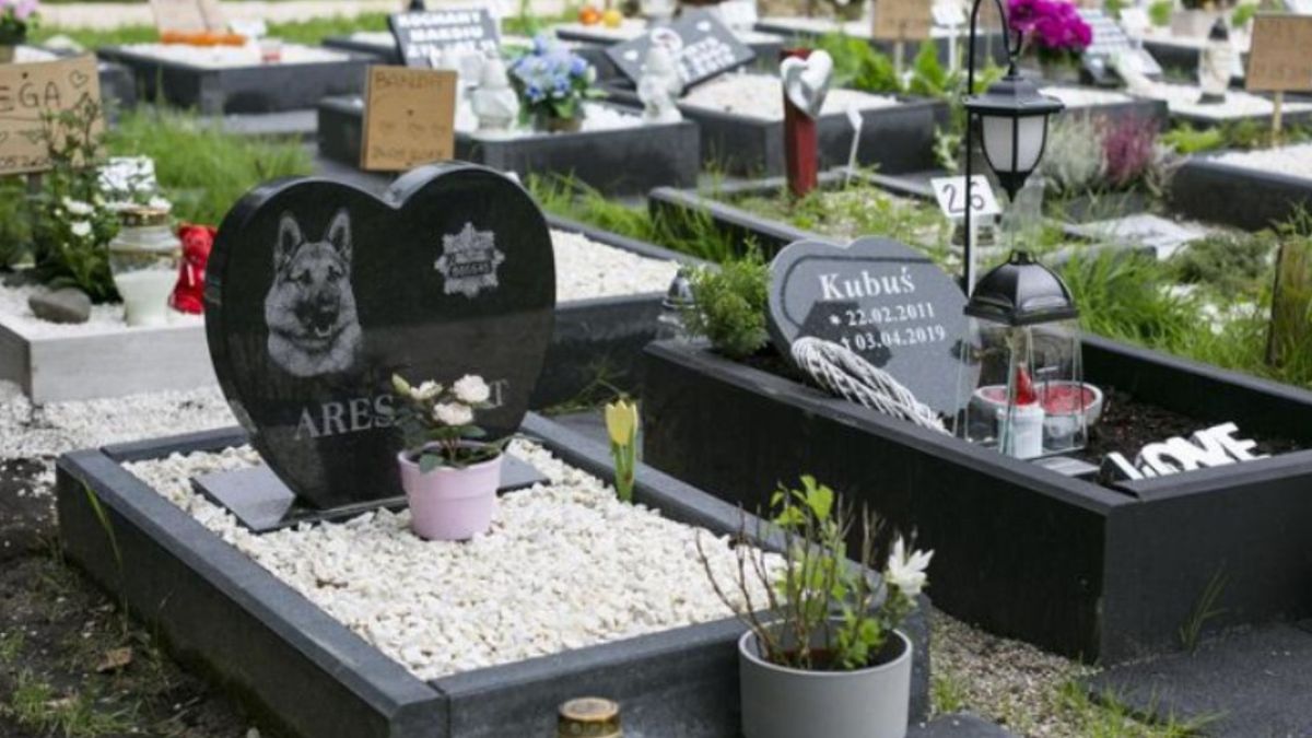 Spór o cmentarz dla zwierząt. Jedni popierają, inni drwią
