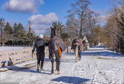 "Świetny pomysł. Odzew mały". Przedsiębiorcy komentują akcję samorządu