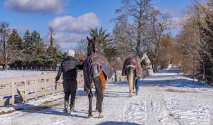 "Świetny pomysł. Odzew mały". Przedsiębiorcy komentują akcję samorządu