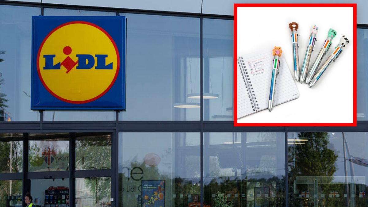 Promocje na artykuły szkolne w Lidlu