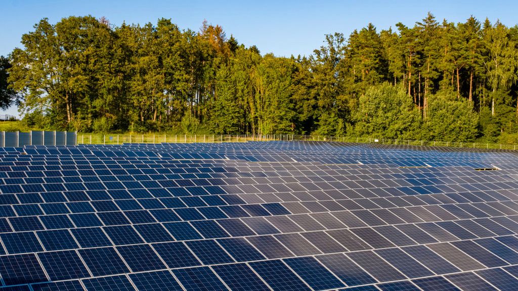 Lasy Państwowe stawiają na fotowoltaikę. W planach aż 200 MW 1