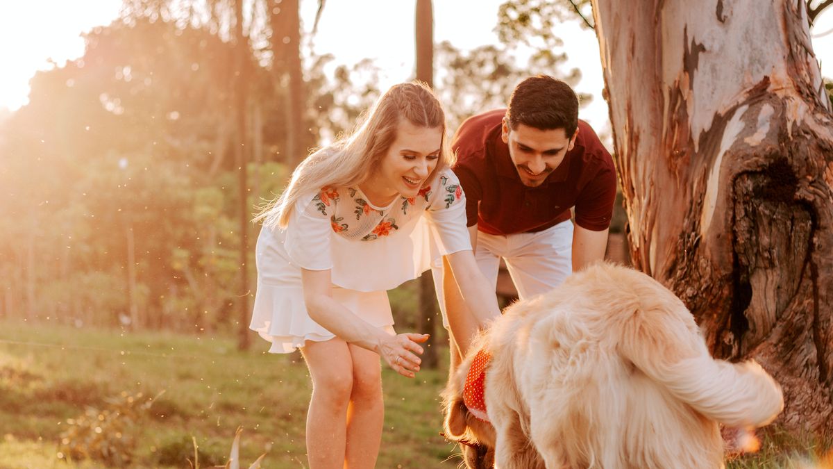 Dla nowożeńców ich pies i kot są bardzo ważnymi członkami rodziny (zdjęcie poglądowe)