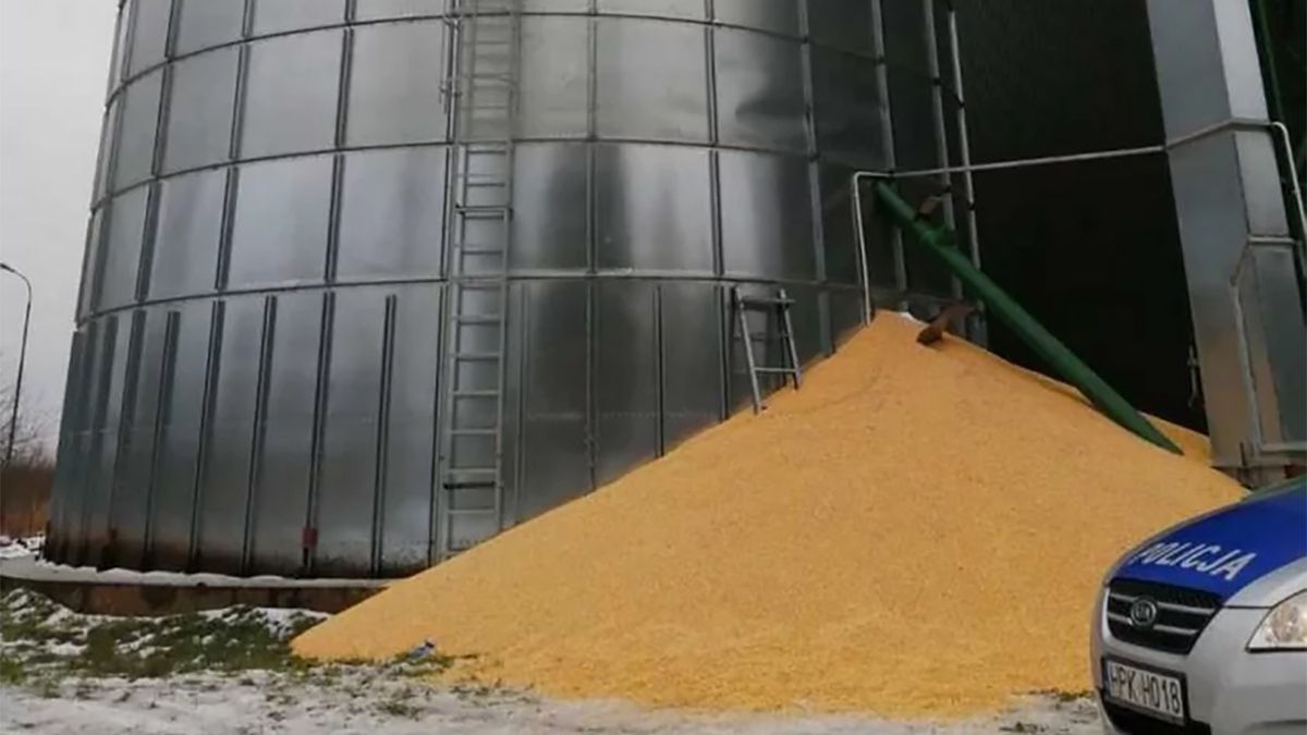 Tragedia na Podkarpaciu. 41-latka przysypała kukurydza