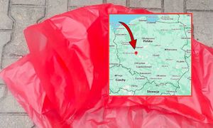 Tajemniczy obiekt na posesji w Rogożewie. Wezwano służby