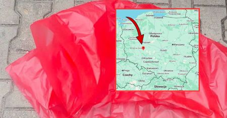 Tajemniczy obiekt na posesji w Rogożewie. Wezwano służby