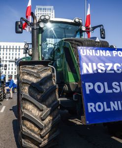 Grupa oburzonych w większości zagłosowała na PiS. Kubeł zimnej wody na głowę Donalda Tuska