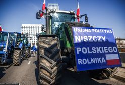 Grupa oburzonych w większości zagłosowała na PiS. Kubeł zimnej wody na głowę Donalda Tuska