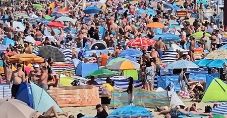 To nie zdjęcia z Włoch czy Chorwacji. "Mieliśmy tu najazd, jakiego nie było od dawna"