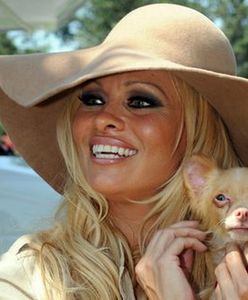 Pamela Anderson nie da się już pokroić