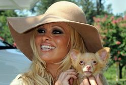 Pamela Anderson nie da się już pokroić