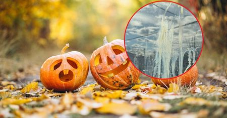 Katecheta narzeka na Halloween. Poleciały jajka