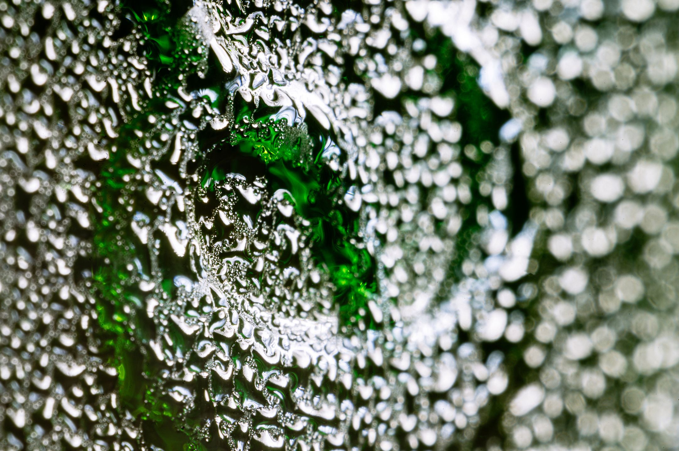 Mitakon 85 mm f/2.8 Macro to obiektyw, który może zmienić świat tej dziedziny 11
