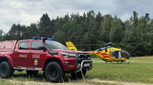 Lasocin: Wypadek w lesie przy wycinaniu drzewa