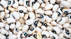 Dlaczego warto jeść fasolę czarne oczko? Korzyści dla zdrowia, diety i wagi