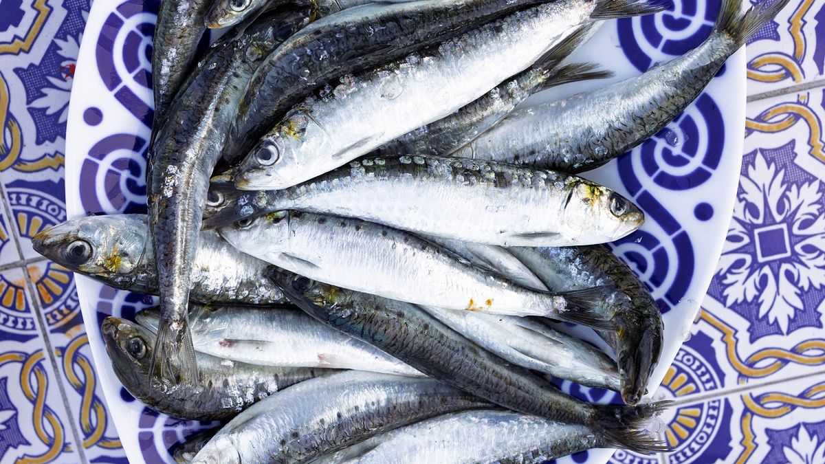 Sardynki to jedne z najzdrowszych ryb