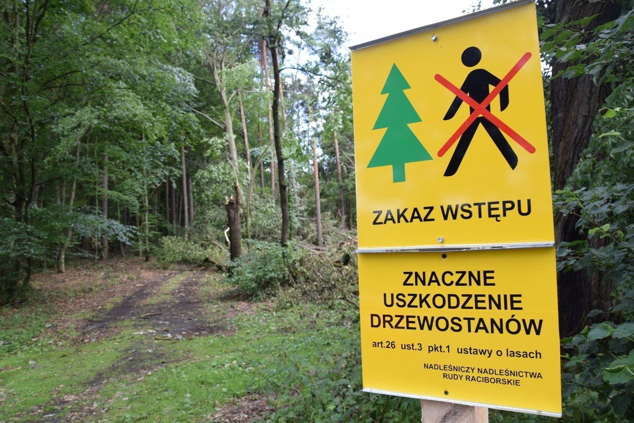 Kataklizm na Śląsku
