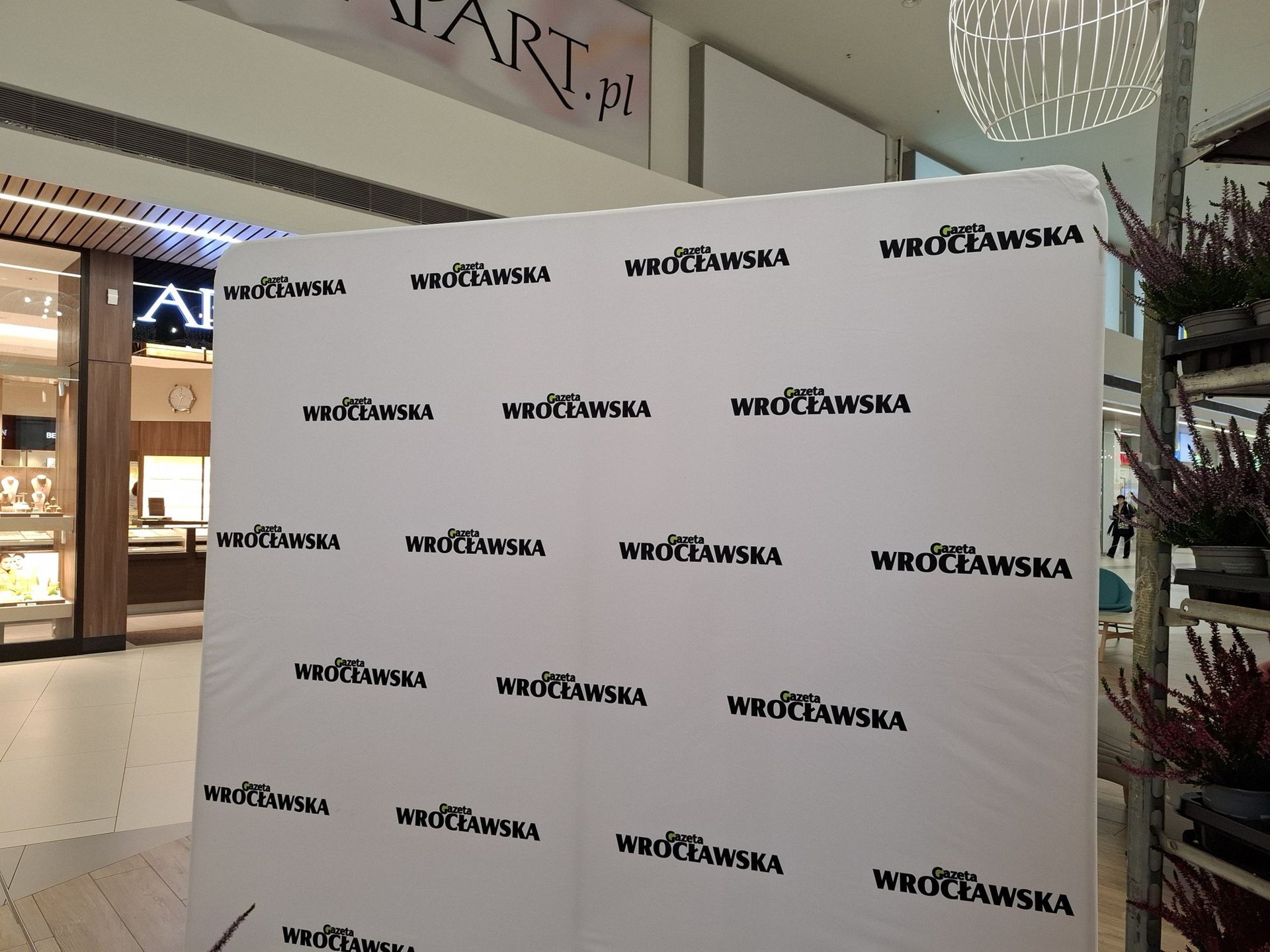 Wrzosy za elektrośmieci. CH Auchan Bielany i Gazeta Wrocławska działają na rzecz ekologii