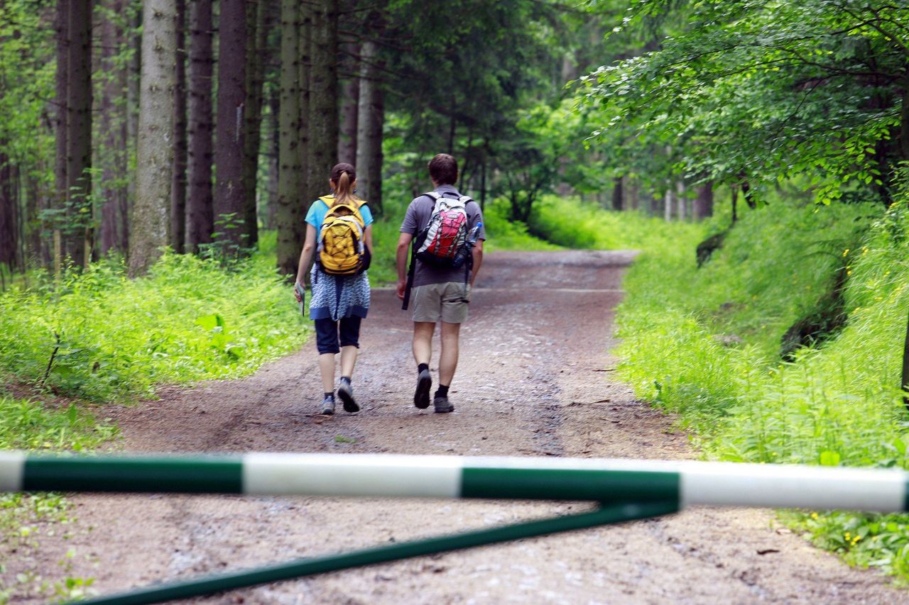 Łomniczka: KPN zdemontuje mostek, ale szlak będzie nadal otwarty