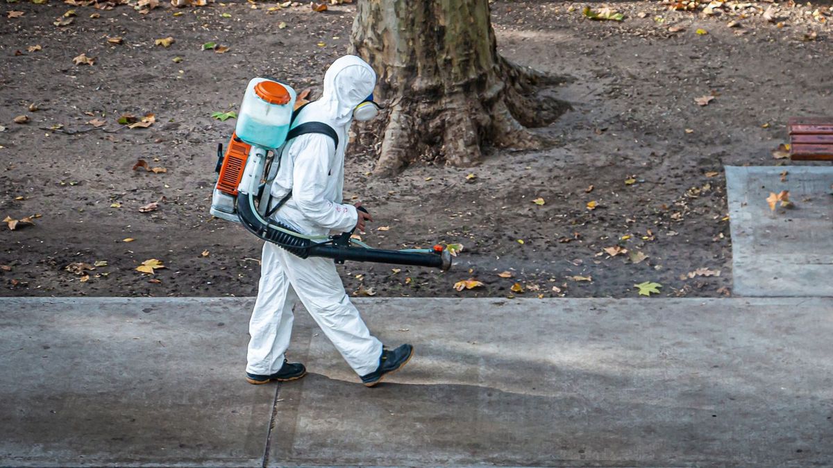 Wirus Usutu atakuje w Niemczech
