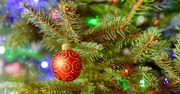 Uważaj na choinkę. Może uczulać