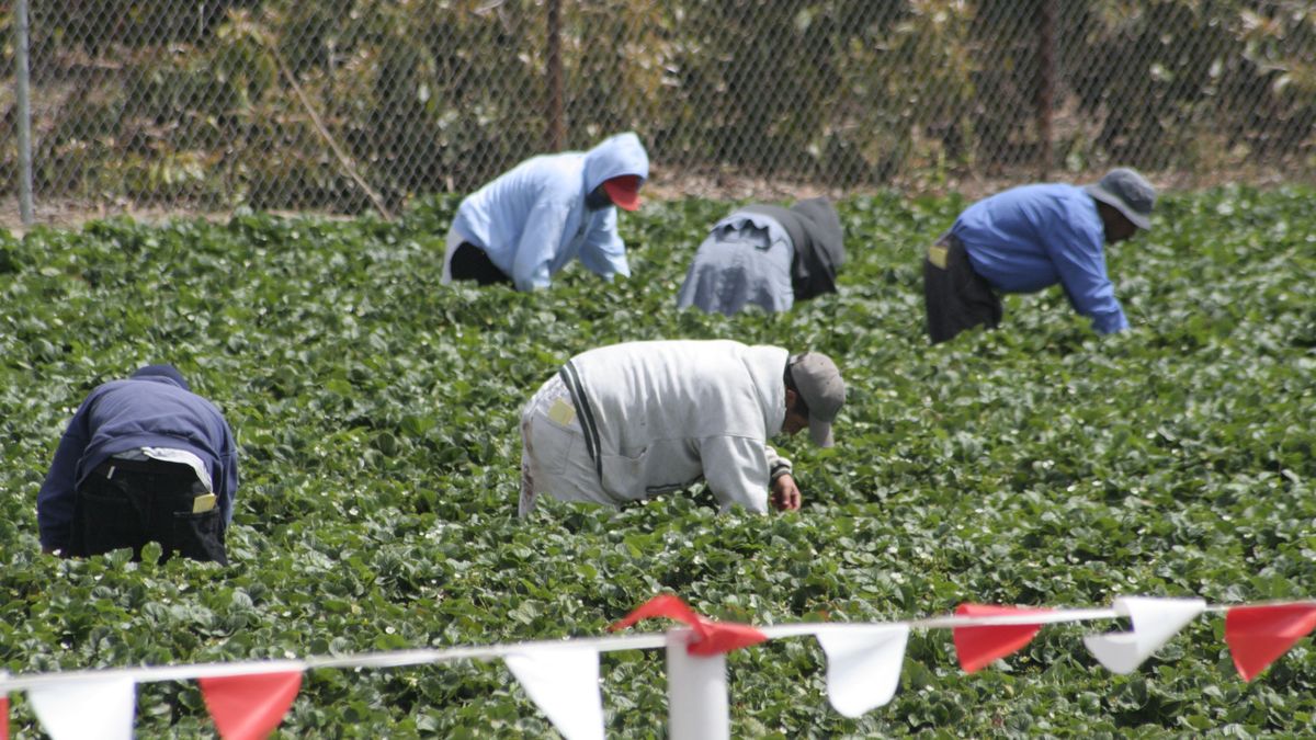Trudna praca Polaków w Niemczech
