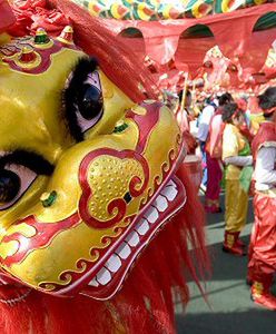 Rozpoczął się Nowy Rok Księżycowy - Rok Świni