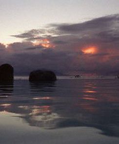 Prezydent Haiti wyznaczył Ericqa Pierre'a na premiera