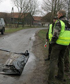 Kolejne ognisko ptasiej grypy w Warmińsko-Mazurskiem