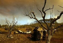 51 ofiar pożarów w Grecji, UE śpieszy z pomocą