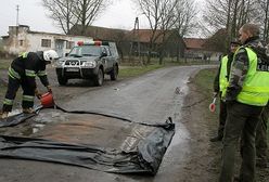 Kolejne ognisko ptasiej grypy w Warmińsko-Mazurskiem