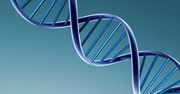 Zajrzyj do własnego DNA