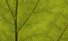 Paliwo napędza nadzieję