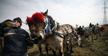 Ukradli siedemdziesięciolatce 200 litrów rakii