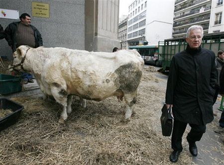 Skandal ze skażonym mięsem, kilkudziesięciu chorych