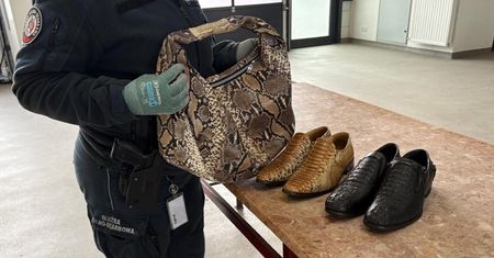 Torebka z pytona, buty z krokodyla. 56-latek próbował wjechać do Polski
