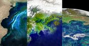 Wykwit toksycznych alg widać z kosmosu. Wody znowu zagrożone