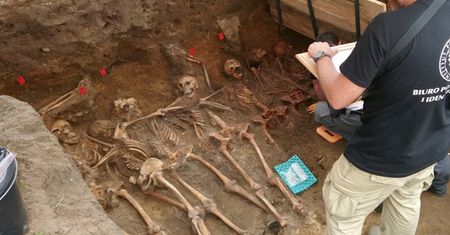Szczątki 8 żołnierzy z ''Warty''. Badania IPN w Odolanowie