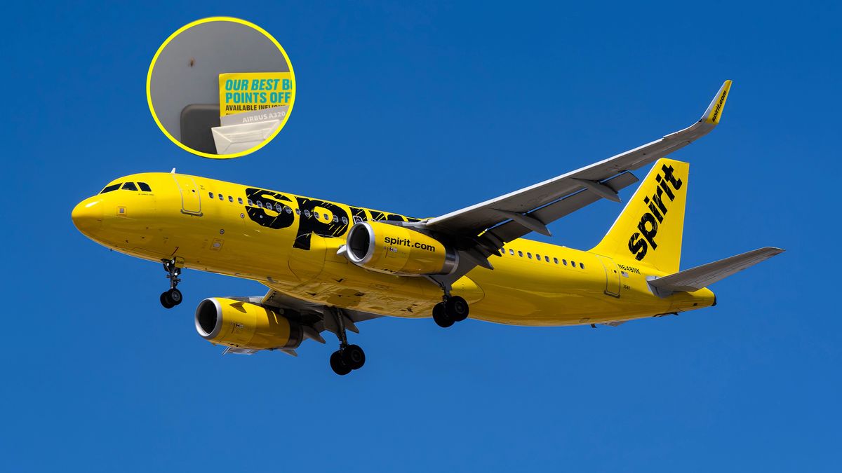 Podróżna nagrała karalucha na pokładzie samolotu 