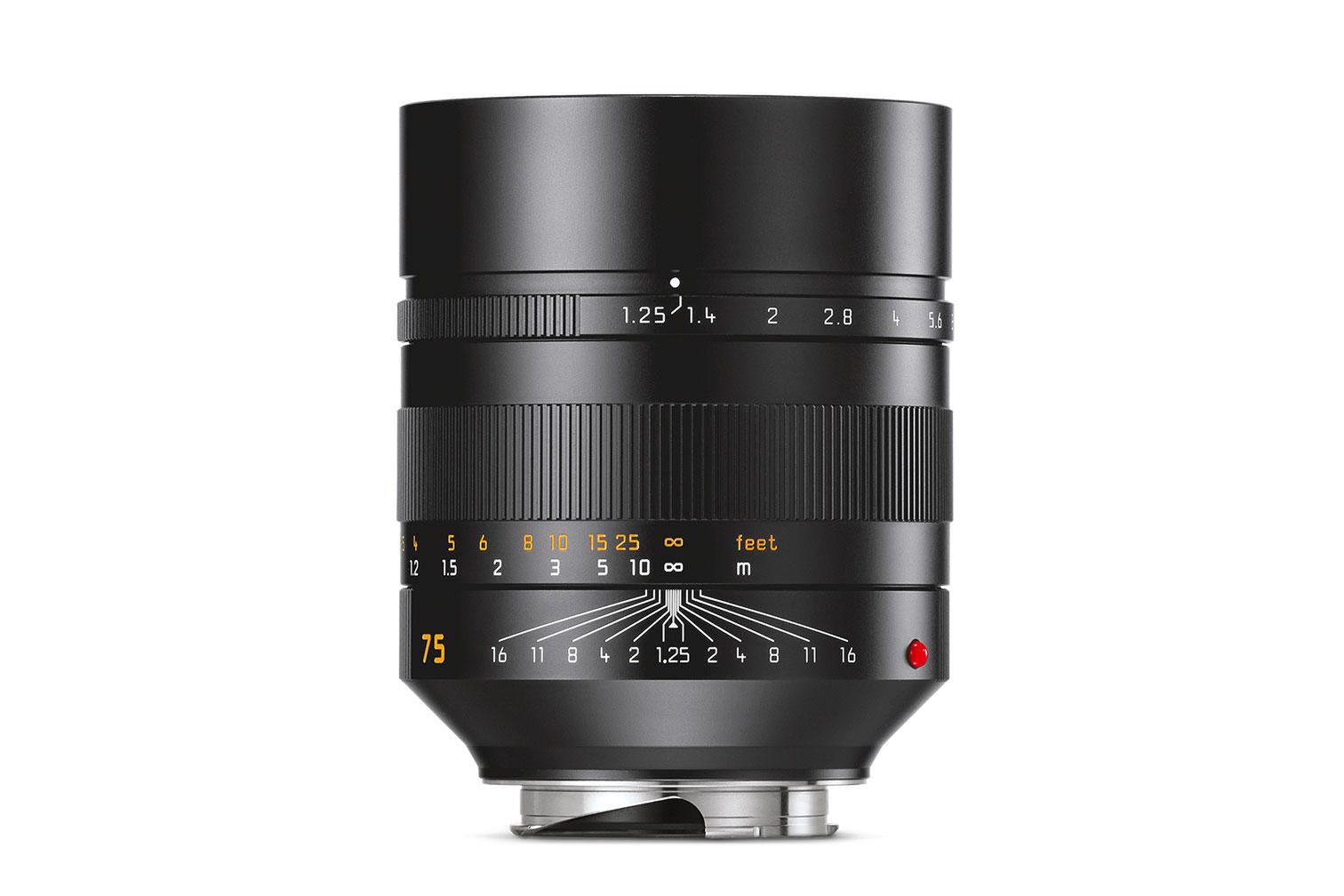 Leica Noctilux-M 75 mm f/1.25 ASPH - to gratka dla miłośników płytkiej głębi ostrości 2