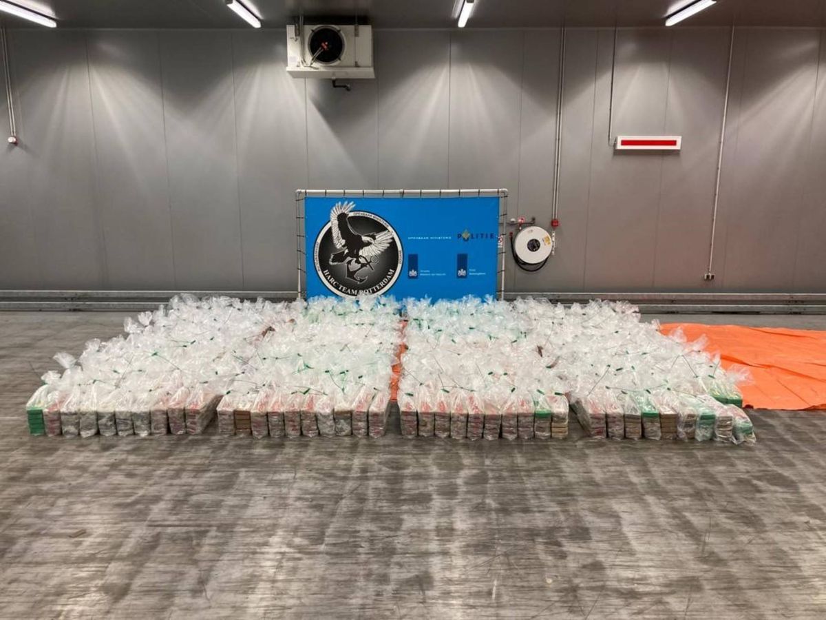 Holenderscy celnicy skonfiskowali 3,5 tys. kg kokainy 