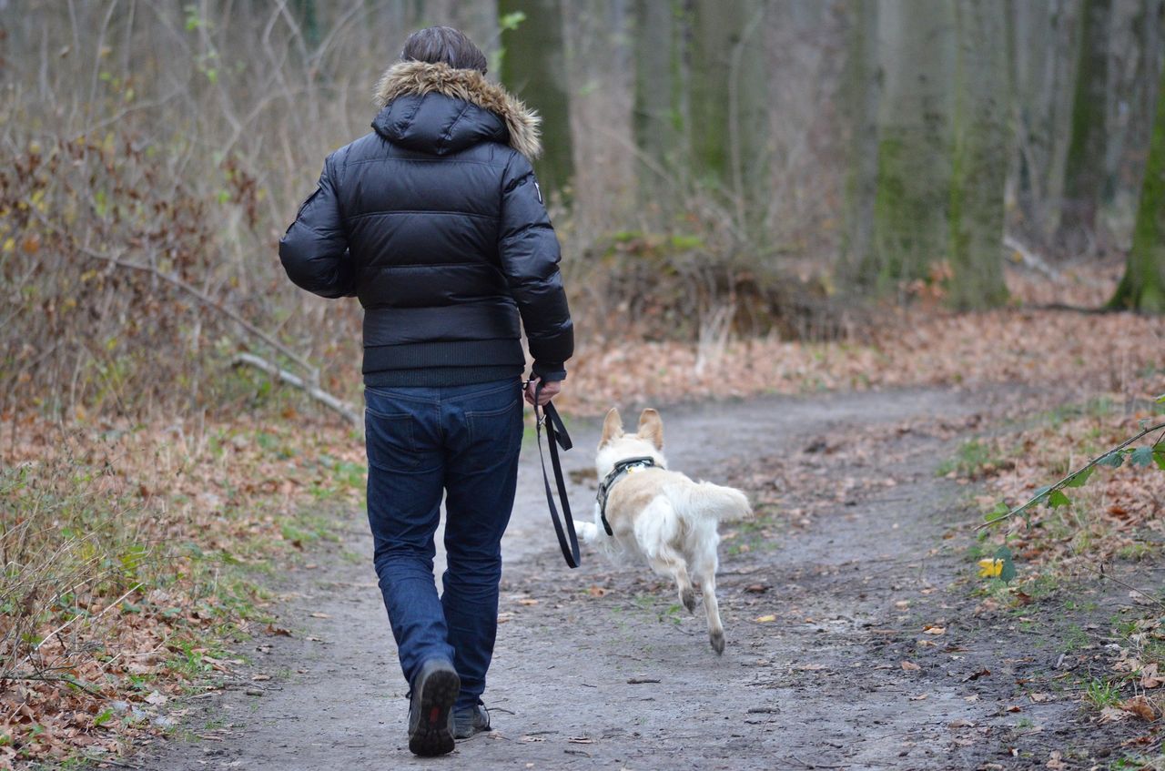 "Lekarze nie wyrabiają". Szokujące zdjęcie po ataku kleszczy