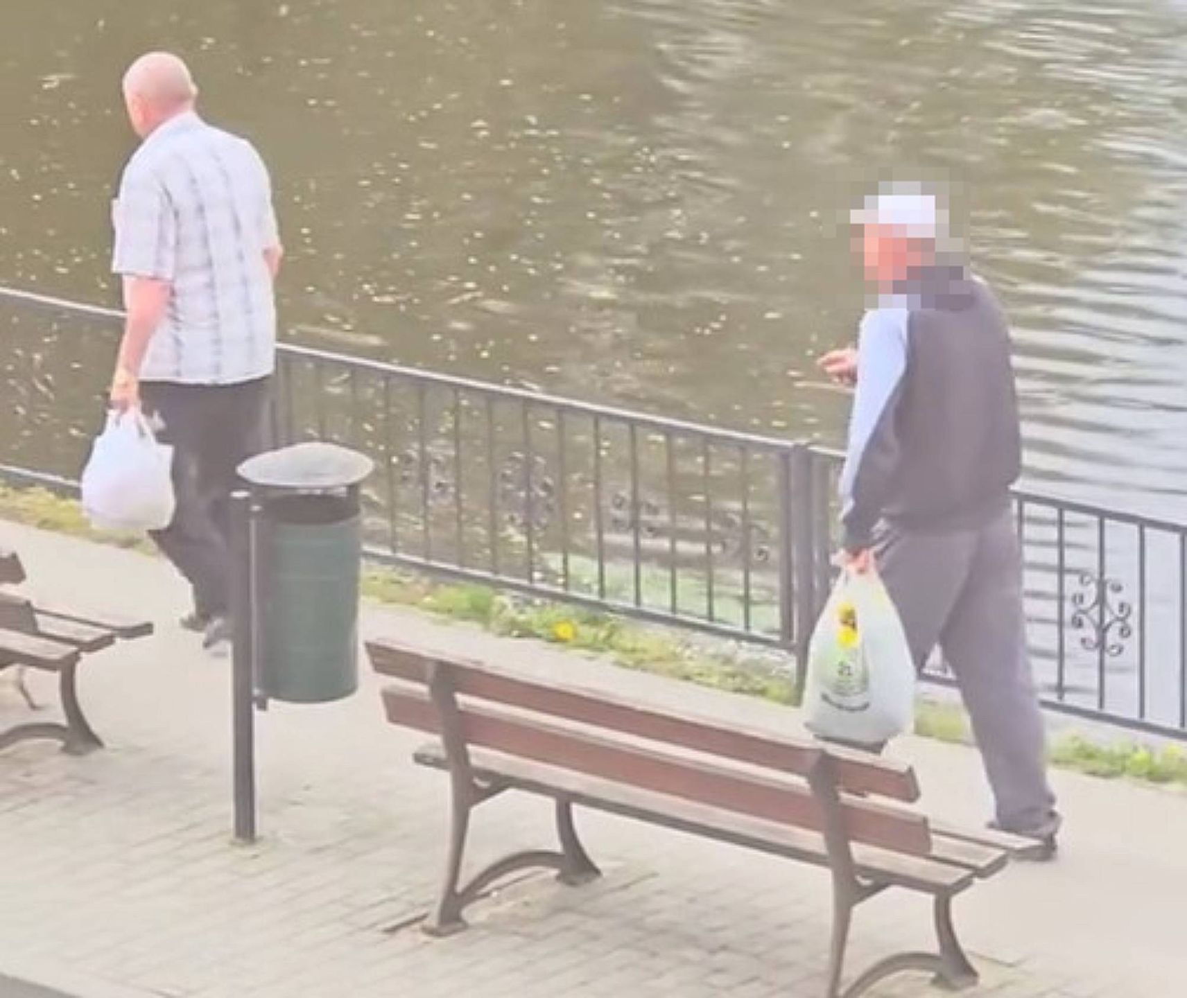 Mężczyźni ukradli bratki w centrum Wyrzyska