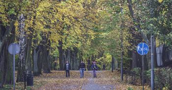 Bytom: Park z XIX wieku zachwyca jesienią