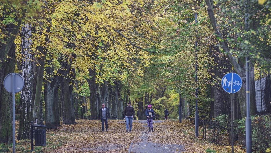 W Parku Kachla coraz bardziej widać jesień. To super okazja na weekendowy spacer