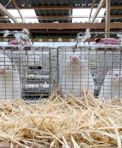 Koronawirus. Dania ogłasza częściowy lockdown. "Nie chcemy być drugim Wuhan"