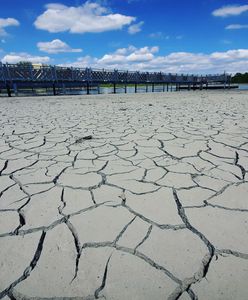 Świdnica. Katastrofa ekologiczna w regionie. Zalew Witoszówka straszy swoim wyglądem